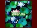 Download Lagu aFrikaSoul feat  N.O.V.A - Summer Daze