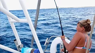 FISH ON! – FISHING FROM OUR CRUISING CATAMARAN