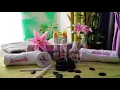 Gain your energy scenerity wellness spa