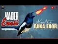 Lagu MASTERAN BURUNG KACER GACOR DONGKRAK EMOSI LAWAN🔥 PANCINGAN AMPUH BIKIN KACER LAIN LANGSUNG ON