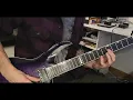 Insomnium - Heart Like A Grave ( GUITAR COVER )