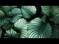 Moon Boots - Keep The Faith feat. Nic Hanson