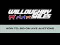 How to Bid on Live Auctions - Willoughby Sales