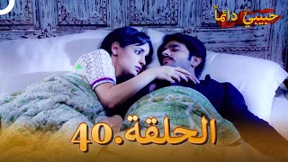 حبيبي دائما الحلقة 40  حبيبي دائما الحلقة 40
