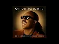 Stevie Wonder that girl