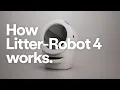 How Litter-Robot 4 Works Self-Cleaning Litter Box