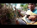 Download Lagu HAMON NG MUNDO @TOTOGUITAR #music #cover #sound