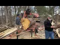 Mega Pine log on the Woodmizer LT40 sawmill