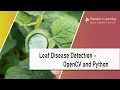 Detect Leaf Disease with Python and OpenCV IEEE AI Project