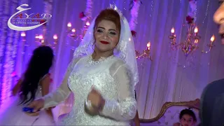 أحمد عامر وعبسلام والمزاج رايق مليونية الحسينى البراشية دمياط شركة عياد للتصوير والليزر 