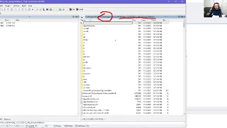 Debugging with IDA Setting up IDA for use with Windbg s debugger engine