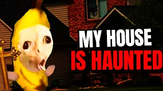 CAT MEME: MY HOUSE IS HAUNTED!!!