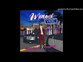 Adriel Favela - Miami Vibe (Feat. Codigo FN)