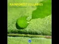 Day is Done with Calming Sea Sound for Sleeping Baby. Seashore Soundscapes - Rainforest Music Lullabies Ensemble