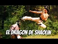 Download Lagu Wu Tang Collection - Dragon from Shaolin - El Dragon de Shaolin
