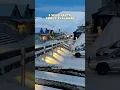 Download Lagu Cats are BANNED ❌🐈‍⬛ on this arctic island | WILD FACTS about #svalbard