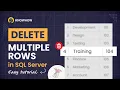 Delete Single and Multiple Rows in SQL Server in 5 Minutes FLAT