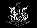 Blut Aus Nord - Antithesis Of The Flesh (... And Then Arises A New Essence)