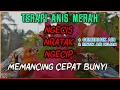 Download Lagu 🔴 TERAPI ANIS MERAH NGECIS NRATAK NGECIP MEMANCING CEPAT BUNYI [ + Suara Air Hujan \u0026 Gemericik Air ]