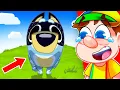 World s FUNNIEST Bluey Animations
