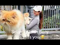 Lagu Memories bersama kucing kesayangan Kami #catlovers #