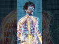 Download Lagu How Taser Works