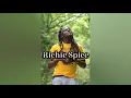 Richie Spice- Brown Skin (Lyric)