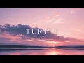 Turtle - Twice (Chill Acoustic Guitar)