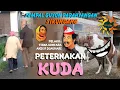 Download Lagu PETERNAKAN KUDA - Sempal guyon parahyangan SiKundang