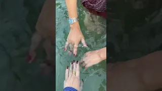 Hath Jal Gaiy Trending Viral Youtubeshorts Shenazgill Youtube Tiktok Newsong 