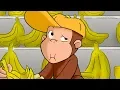 Download Lagu Curious George 🐵George The Grocer 🐵 Kids Cartoon 🐵 Kids Movies | Videos For Kids