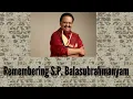 ye mausam ka jaadu (cover) | hum aapke hain kaun | S.P. balasubrahmanyam | lata mangeshkar