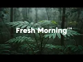 Download Lagu Fresh Morning Mix 🌄 | Chillout \u0026 Deep House Tracks voor een Positieve Start