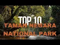 Lagu Top 10 Thrilling Adventures in Taman Negara National Park