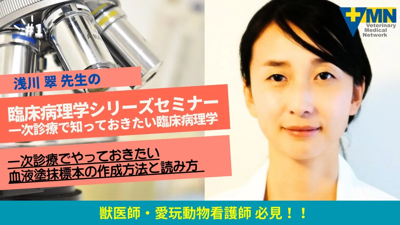 浅川 翠先生の臨床病理学シリーズセミナー一次診療で知っておきたい臨床病理学 第4回 「一次診療でやっておきたい血液塗抹標本の作成方法と読み方」