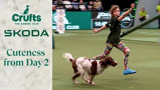 Melting Hearts Crufts 2024