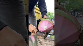He Found A Pink Coconut His Reaction Will Shock You Shortvideo  He Found A Pink Coconut His Reaction Will Shock You Shortvideo