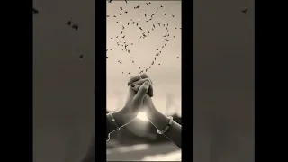 عشقكم يضني القلوب 