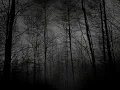 Download Lagu Echo Sax End (first half 10 mins loop) slowed - Caleb Arredondo