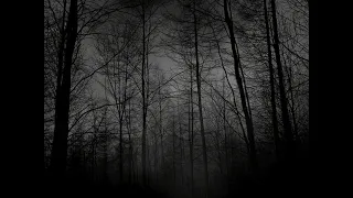 Echo Sax End First Half 10 Mins Loop Slowed Caleb Arredondo  Echo Sax End First Half 10 Mins Loop Slowed Caleb Arredondo