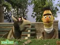 Sesame Street: Calling All Pigeons with Bert
