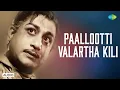 Lagu Paallootti Valartha Kili - Audio Song | Gauravam | M.S. Viswanathan | T.M. Soundararajan