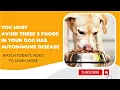 You must avoid these 5 foods if your dog has an AUTOIMMUNE disease