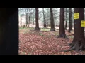 A fisher cat with a raccoon s head in its mouth