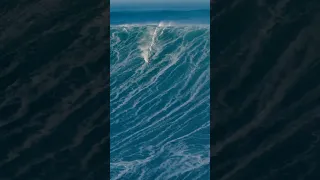 Soulja Tshreen Shorts 