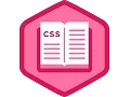 How to Properly Include CSS Files In WordPress