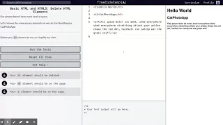 Learn Basic HTML and HTML5 Delete HTML Elements freeCodeCamp org 07