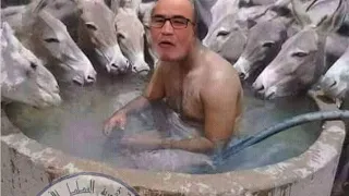 Live Hichem الرجال تعرف الرجال وجحا يعرف صحابو 