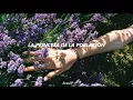 La Trenza - Mon Laferte; Letra
