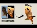Create Double Exposure Photos Art with Pixlr Quick and Easy